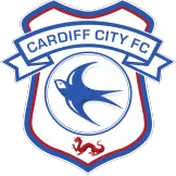 Cardiff City - camisetasdefutbol