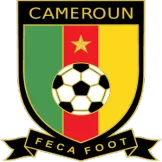 Cameroon - camisetasdefutbol