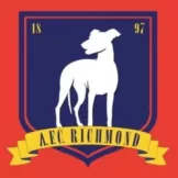 AFC Richmond - camisetasdefutbol