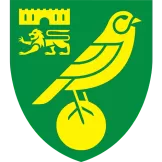 Norwich City - camisetasdefutbol