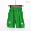 Ireland Kids Kit 2023 Away (Shirt+Shorts) - camisetasdefutbol